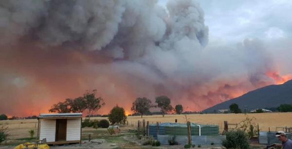 Situaţia extrem de gravă în Australia. Ploaia care a venit nu a ameliorat situaţia aproape deloc