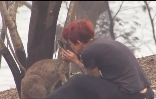 400 de megatone de substanţe toxice, produse de incendiile devastatoare din Australia