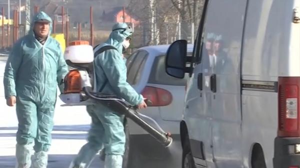 Măsuri drastice contra gripei aviare, la ferma de găini din Seini, Maramureș