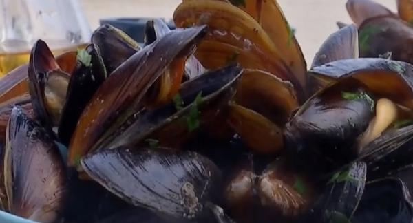 Midiile din Marea Neagră, interzise în restaurantele de pe litoral