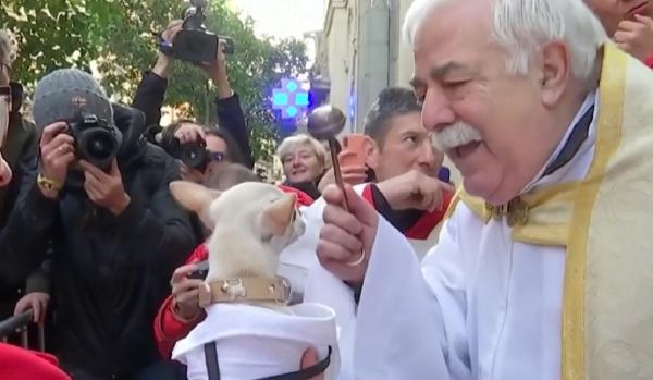 Mii de spanioli şi-au adus animalele de companie pentru a primi binecuvântarea anuală de Sfântul Anton