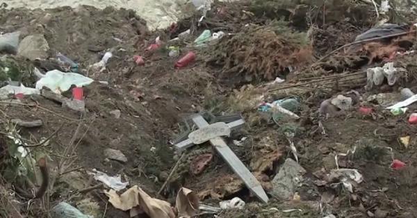 Resturi de cadavre umane au fost descoperite pe un câmp, la marginea Timişoarei
