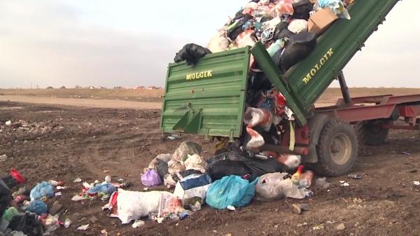 Gunoaie aruncate de primărie, pe câmp, în apropierea localităţii Păuliş