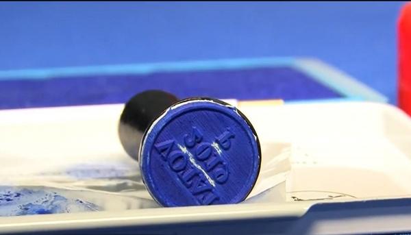 Votul la alegeri, condiţionat de data la care a fost obţinută viza de flotant