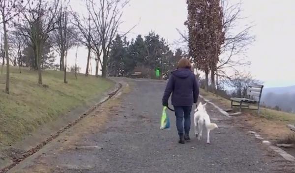 Construcția Centurii Metropolitane în Cluj stârnește nemulțumirea unor localnici