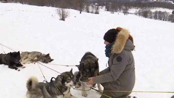 Francezi îndrăgostiţi de Maramureş, afacere inedită la poalele Munţilor Gutâi