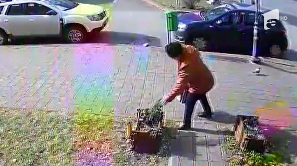 Trecători filmați când fură arbuștii de decor ai unei florării din Piatra Neamț (Video)
