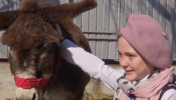 Măgăruş abandonat de stăpân, salvat de primarul unei comune din Gorj