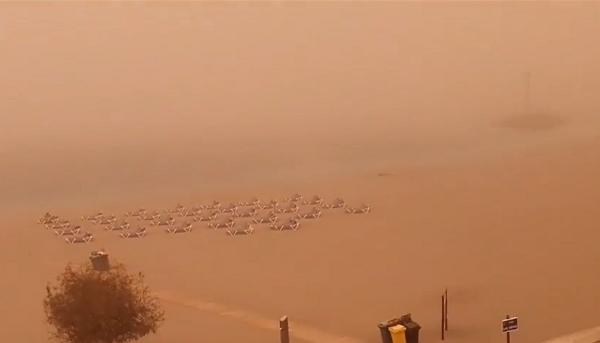 Mii de români afectaţi de furtuna de nisip care a lovit Insulele Canare (Video)