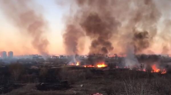 Hectare întregi făcute scrum, după incendiul din Delta Văcărești
