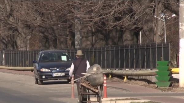 Asistați social fără chef de muncă, în Prahova