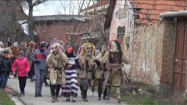 Alaiul Berbecilor, obicei inedit în Banat (Video)