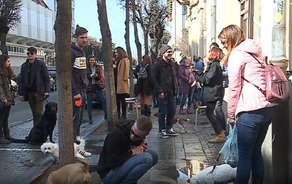 Cafenea din Târgu Mureş, eveniment inedit pentru iubitorii de animale