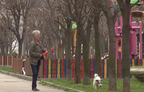 Dresorii ne învaţă că animalele pot fi plimbate şi în casă