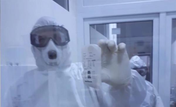 Medicii din linia întâi, dezvăluiri cutremurătoare despre lupta cu noul coronavirus (Video)