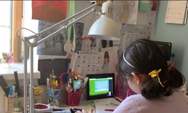 Elevii din clasele terminale fac meditații pe internet, pentru examenele finale