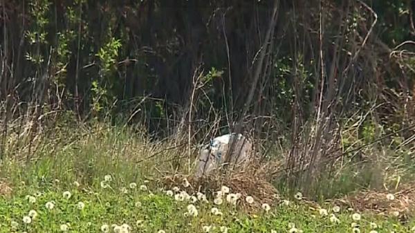 În Maramureș, localnicii primesc bani dacă îi pârăsc pe cei care aruncă gunoi pe jos