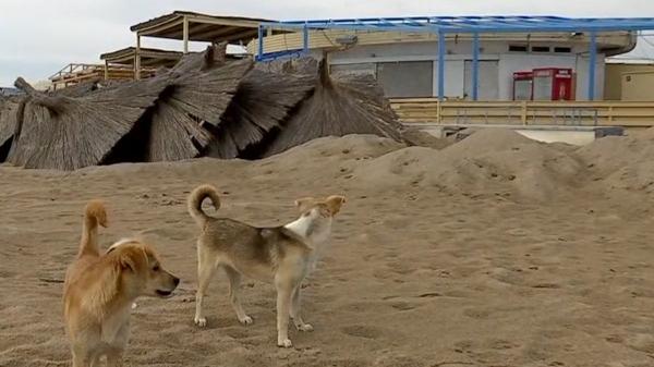 Hotelierii de pe litoral speră în reguli mai flexibile după ridicarea restricțiilor