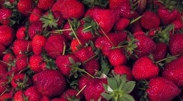 Marfă de import, vândută sub etichetă românească la Constanța