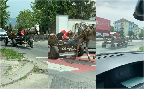 Calul, mai responsabil ca stăpânul. Omul a adormit în căruță, iar calul l-a dus singur acasă (Video)