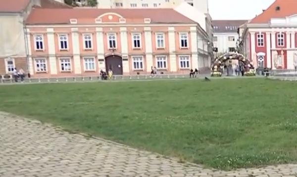 Străzile marilor oraşe au prins din nou viaţă