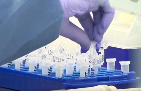 Coronavirusul din România, asemănător cu alte tulpini din Europa