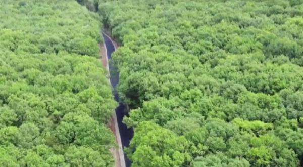 Drumul din inima pădurii ce unește două comunităţi din judeţul Alba