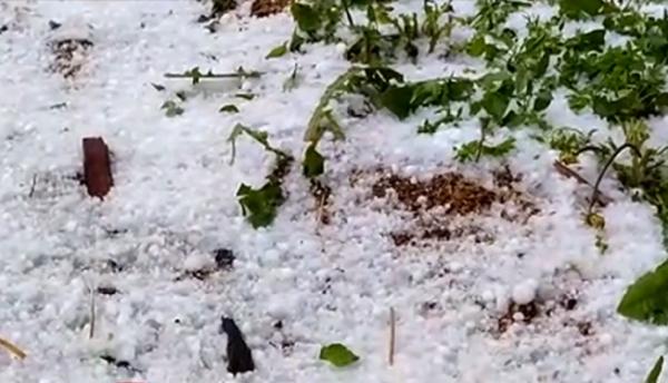 Legume și fructe, distruse de grindină în Hunedoara. Oamenii se tem că nu au ce să mai pună pe masă