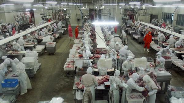 Muncitorii români schimbă legislaţia muncii în Germania, după numărul mare de infecții cu Covid-19