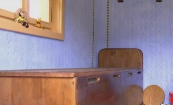 Un apicultor român a descoperit avantajele patului ridicat pe stupi de albine