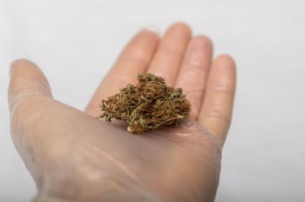 Semnal de alarmă al specialiştilor, după accidentul cu tinerele drogate din Bucureşti (Video)