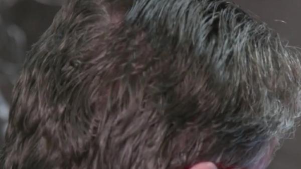 Părul grizonat și-ar putea recăpăta, în mod natural, culoarea iniţială, susține un cercetător american