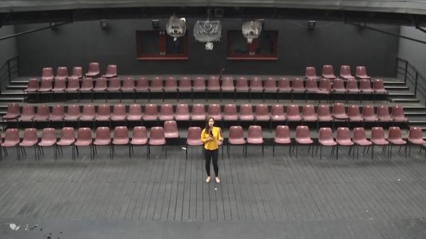 Redeschiderea teatrelor, motiv de dispută între Guvern și Primăria București