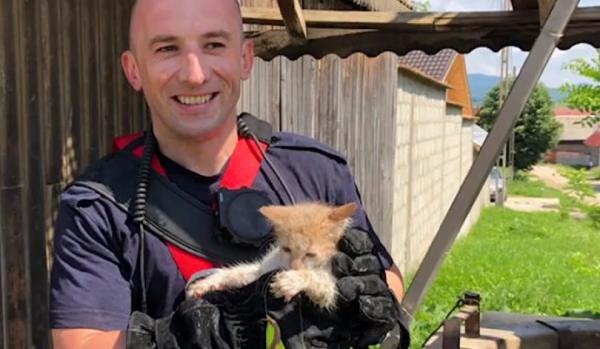 Pisicuță salvată de pompierii brașoveni dintr-o fântână de 25 de metri adâncime