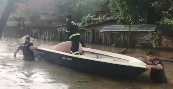 Patru judeţe din vestul României au fost sub cod roşu de ploi, inundaţiile înghiţind localităţi întregi (Video)