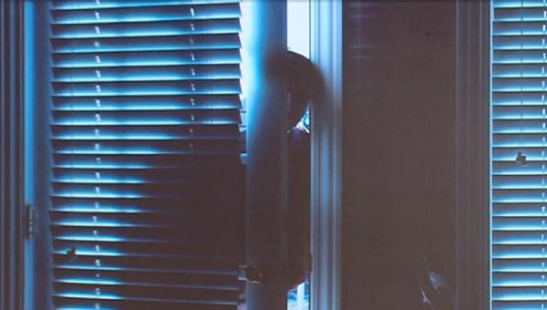 Fiul senatorului Niculae Bădălău s-a ales cu o pagubă de circa 80.000 de euro, după ce hoții i-au spart casa