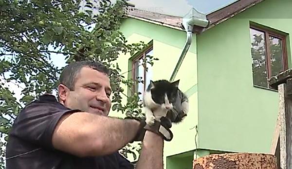 Pisică salvată de pompieri dintr-o casă în flăcări, în Timiş