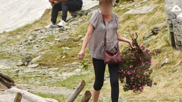 Şeful Salvamont Arges, despre turista care a dezrădăcinat o tufă de bujor de munte: "E o problemă adâncă de educaţie" (Video)