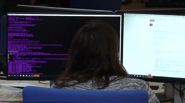 Piața muncii, în era digitală. Competențele care ne asigură un loc de muncă