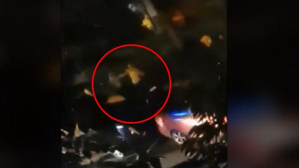 Un polițist din Capitală a fost lovit şi pus la pământ de un recidivist
