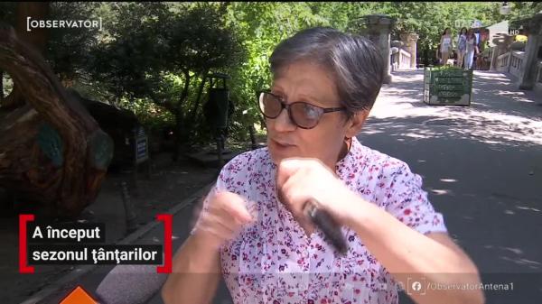 A început sezonul țânțarilor. Cum ne protejăm de aceste insecte