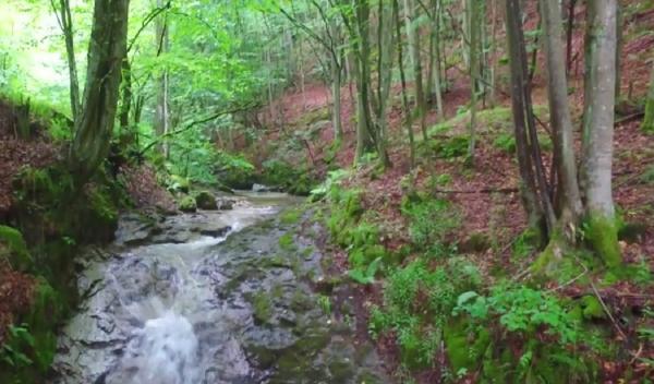 Cascada de pe Valea Rea, comoara ascunsă a Hunedoarei