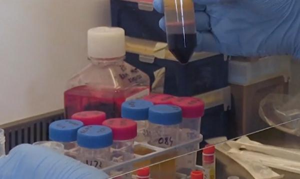 Rezultate optimiste pentru un vaccin Covid-19, în Statele Unite