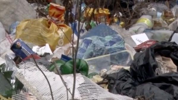 Legea mirosurilor intră în vigoare. Firmele care deranjează olfactiv vor fi amendate