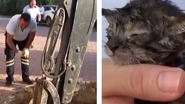 Un pui de pisică, blocat într-un canal, a fost salvat de pompieri, în Turcia
