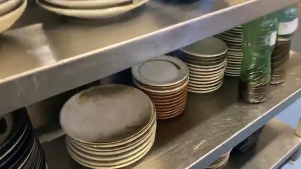 Două cluburi de fițe din nordul staţiunii Mamaia, au fost închise de autorităţi