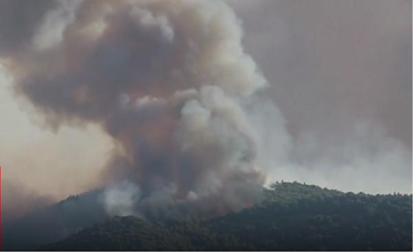 Stare de alertă în Grecia, din cauza incendiilor de vegetație (Video)