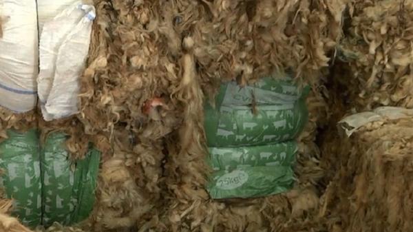 Lână de oaie, îngrășământ agricol