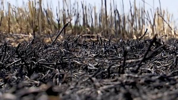 Incendii pe câmp, anunțate cu toaca și trompeta