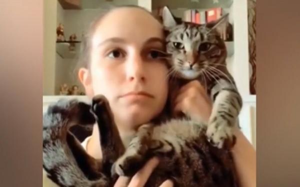 Pisica folosită de post de telefon, noul trend de pe TikTok